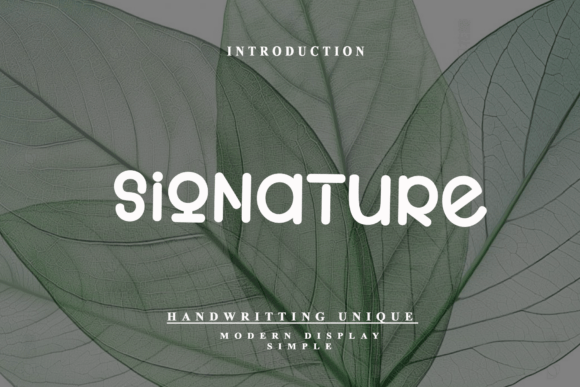 Signature: A Bold, Simple Modern Display Font
